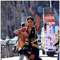 Amala Paul Latest Cute Images from Iddarammayilatho Movie | Picture 507495