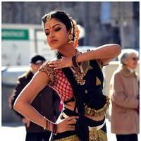 Amala Paul Latest Cute Images from Iddarammayilatho Movie | Picture 507420