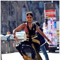 Amala Paul Latest Cute Images from Iddarammayilatho Movie | Picture 507518