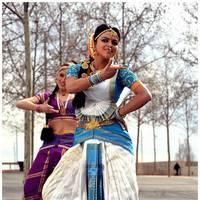 Amala Paul Latest Cute Images from Iddarammayilatho Movie | Picture 507440