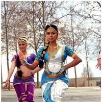 Amala Paul Latest Cute Images from Iddarammayilatho Movie | Picture 507441