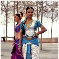 Amala Paul Latest Cute Images from Iddarammayilatho Movie | Picture 507444