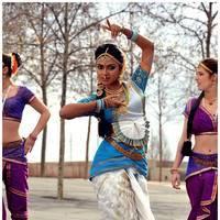 Amala Paul Latest Cute Images from Iddarammayilatho Movie | Picture 507447
