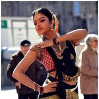 Amala Paul Latest Cute Images from Iddarammayilatho Movie | Picture 507460