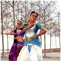 Amala Paul Latest Cute Images from Iddarammayilatho Movie | Picture 507464