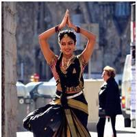 Amala Paul Latest Cute Images from Iddarammayilatho Movie | Picture 507466