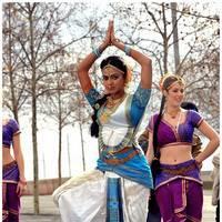 Amala Paul Latest Cute Images from Iddarammayilatho Movie | Picture 507467