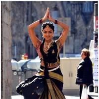Amala Paul Latest Cute Images from Iddarammayilatho Movie | Picture 507468