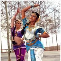 Amala Paul Latest Cute Images from Iddarammayilatho Movie | Picture 507470