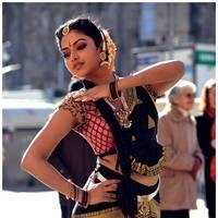 Amala Paul Latest Cute Images from Iddarammayilatho Movie | Picture 507477