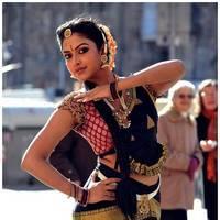 Amala Paul Latest Cute Images from Iddarammayilatho Movie | Picture 507478
