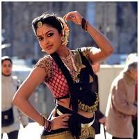 Amala Paul Latest Cute Images from Iddarammayilatho Movie | Picture 507480