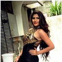 Neha Saxena Latest Hot Photos at Q Premaku Chavuku Movie Opening | Picture 510381