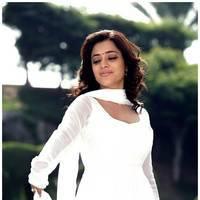 Nisha Agarwal Latest Cute Pictures | Picture 511199