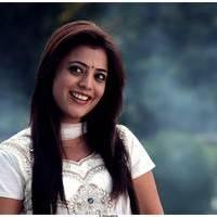 Nisha Agarwal Latest Cute Pictures | Picture 511213