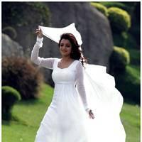 Nisha Agarwal Latest Cute Pictures | Picture 511653