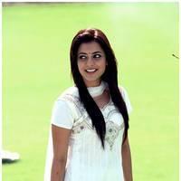Nisha Agarwal Latest Cute Pictures | Picture 511226
