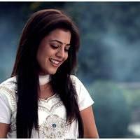 Nisha Agarwal Latest Cute Pictures | Picture 511229