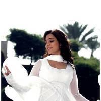 Nisha Agarwal Latest Cute Pictures | Picture 511232