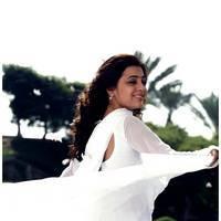 Nisha Agarwal Latest Cute Pictures | Picture 511236