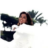 Nisha Agarwal Latest Cute Pictures | Picture 511241