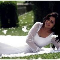 Nisha Agarwal Latest Cute Pictures | Picture 511676