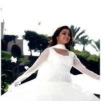 Nisha Agarwal Latest Cute Pictures | Picture 511253