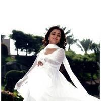 Nisha Agarwal Latest Cute Pictures | Picture 511261