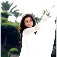 Nisha Agarwal Latest Cute Pictures | Picture 511265