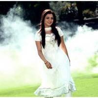Nisha Agarwal Latest Cute Pictures | Picture 511268