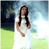 Nisha Agarwal Latest Cute Pictures | Picture 511273