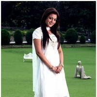 Nisha Agarwal Latest Cute Pictures | Picture 511280