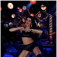 Scarlett Wilson Item Song Shoot in Chandi Movie Photos | Picture 512060