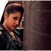 Komal Jha New Hot Images | Picture 511534