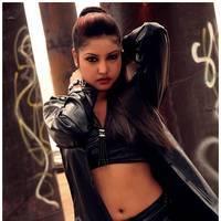 Komal Jha New Hot Images | Picture 511567