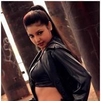 Komal Jha New Hot Images | Picture 511616