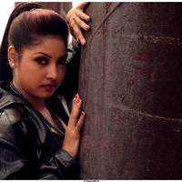 Komal Jha New Hot Images | Picture 511624