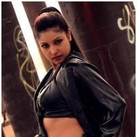 Komal Jha New Hot Images | Picture 511631