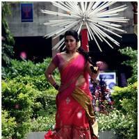 Charmy Kaur Latest Half Saree Images | Picture 512703
