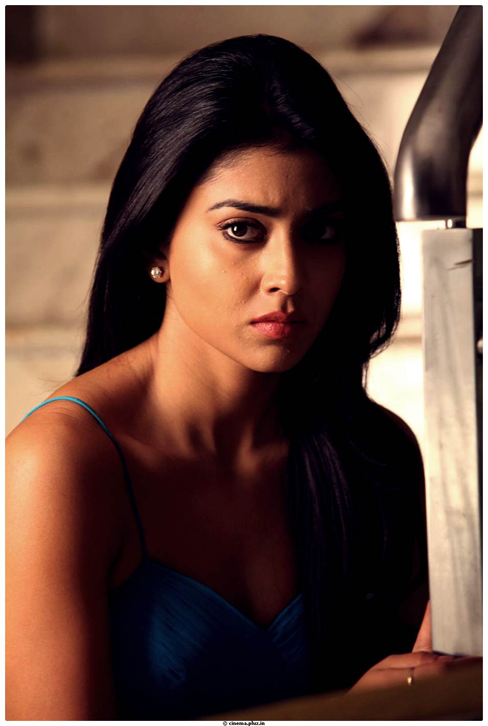 Shriya Saran Latest Pictures | Picture 512656