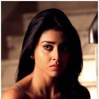 Shriya Saran Latest Pictures | Picture 512589