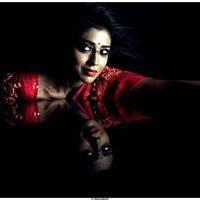 Shriya Saran Latest Pictures | Picture 512492