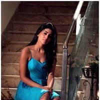 Shriya Saran Latest Pictures | Picture 512493