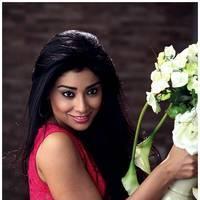 Shriya Saran Latest Pictures | Picture 512592