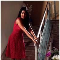 Shriya Saran Latest Pictures | Picture 512609