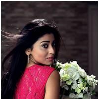 Shriya Saran Latest Pictures | Picture 512612