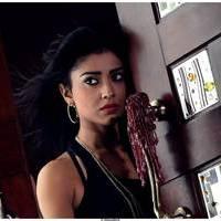 Shriya Saran Latest Pictures | Picture 512620