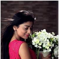 Shriya Saran Latest Pictures | Picture 512624