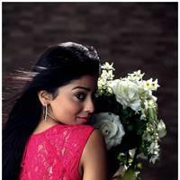 Shriya Saran Latest Pictures | Picture 512634