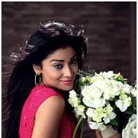 Shriya Saran Latest Pictures | Picture 512635